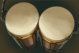 Conga Drums